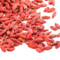 Getrocknete Frucht Getrocknete organische Goji Beere Goji